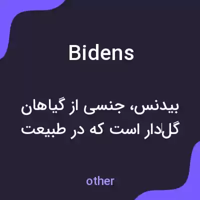 معنی bidens به فارسی معنی bidens به فارسی