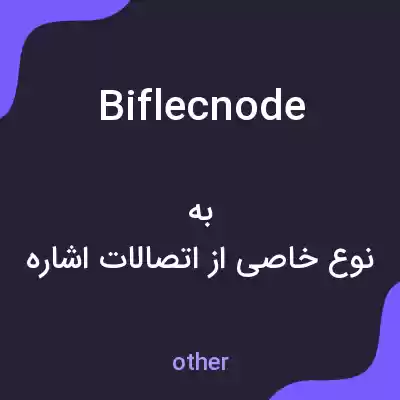 معنی biflecnode به فارسی