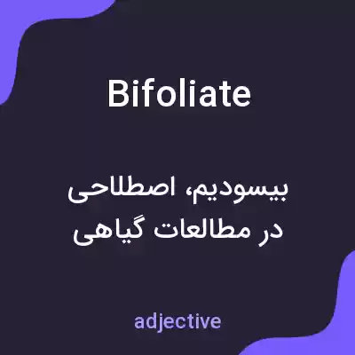 معنی bifoliate به فارسی معنی bifoliate به فارسی