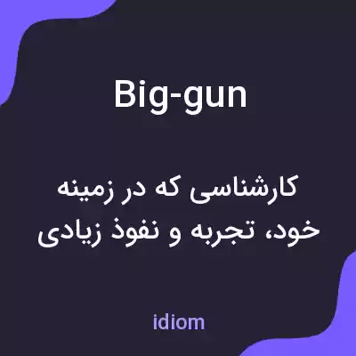 معنی big-gun به فارسی