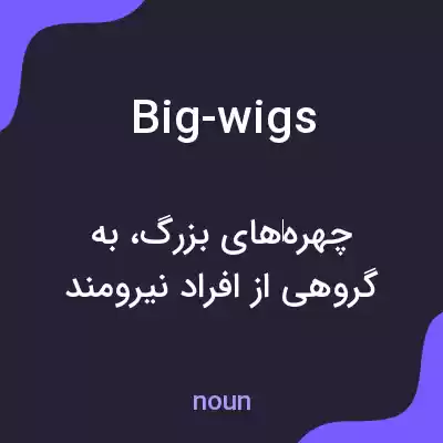 معنی big-wigs به فارسی