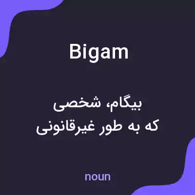 معنی bigam به فارسی معنی bigam به فارسی