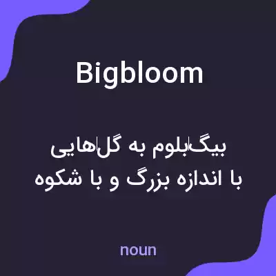 معنی bigbloom به فارسی معنی bigbloom به فارسی