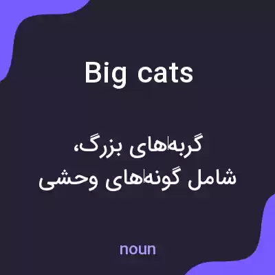 معنی big cats به فارسی معنی big cats به فارسی