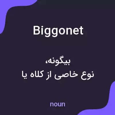 معنی biggonet به فارسی معنی biggonet به فارسی