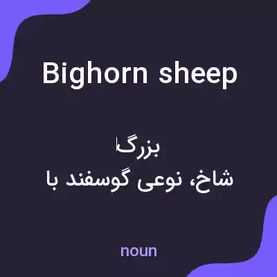 معنی bighorn sheep به فارسی معنی bighorn sheep به فارسی