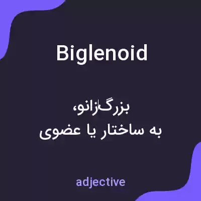 معنی biglenoid به فارسی معنی biglenoid به فارسی