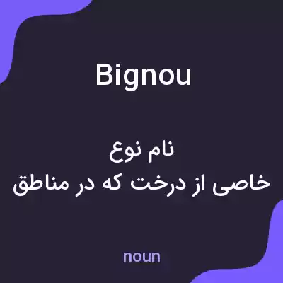 معنی bignou به فارسی معنی bignou به فارسی