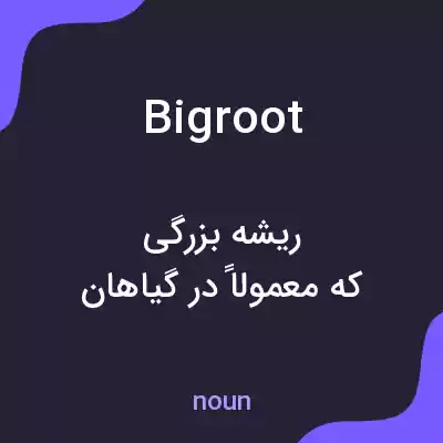 معنی bigroot به فارسی معنی bigroot به فارسی