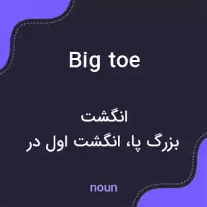 معنی big toe به فارسی