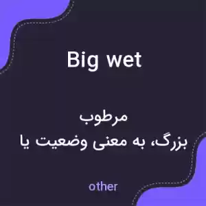 معنی big wet به فارسی معنی big wet به فارسی