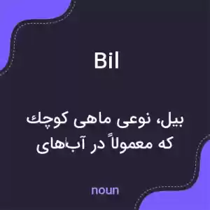 معنی bil به فارسی معنی bil به فارسی