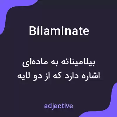 معنی bilaminate به فارسی معنی bilaminate به فارسی