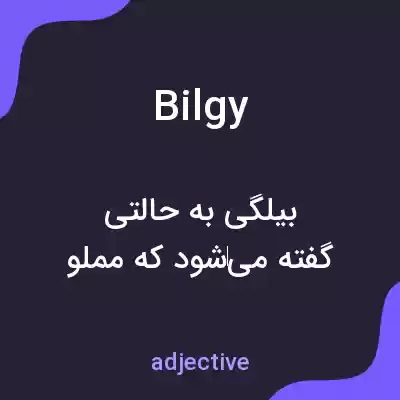معنی bilgy به فارسی معنی bilgy به فارسی