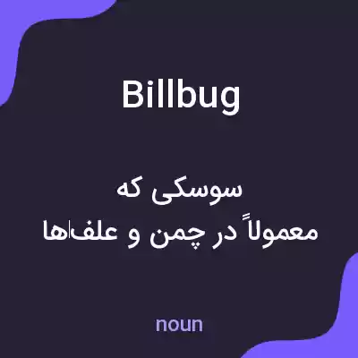 معنی billbug به فارسی