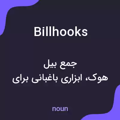 معنی billhooks به فارسی معنی billhooks به فارسی