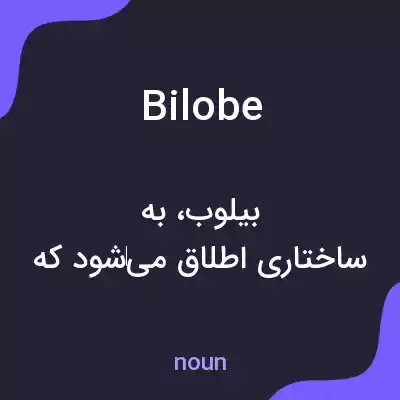 معنی bilobe به فارسی معنی bilobe به فارسی