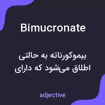 معنی bimucronate به فارسی معنی bimucronate به فارسی