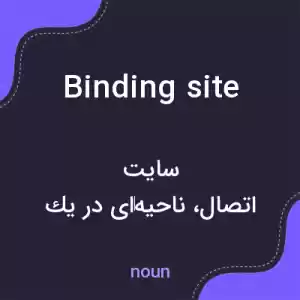 معنی binding site به فارسی معنی binding site به فارسی