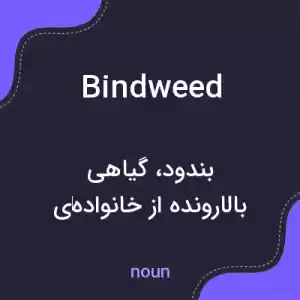معنی bindweed به فارسی معنی bindweed به فارسی
