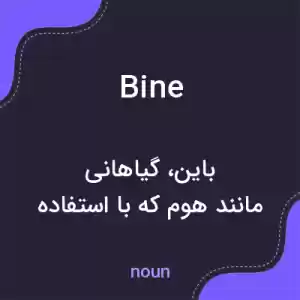 معنی bine به فارسی معنی bine به فارسی