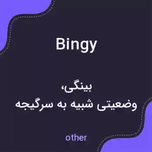 معنی bingy به فارسی معنی bingy به فارسی