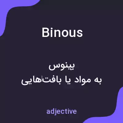 معنی binous به فارسی