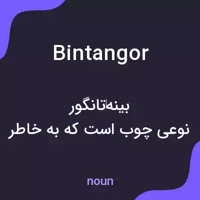 معنی bintangor به فارسی معنی bintangor به فارسی