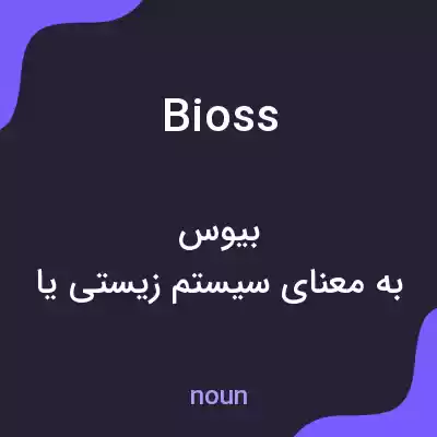 معنی bioss به فارسی معنی bioss به فارسی