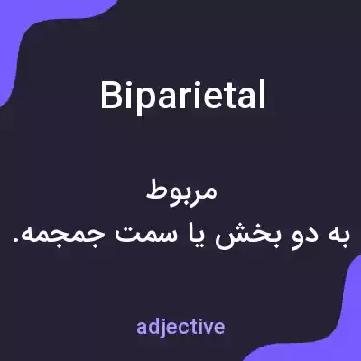 معنی biparietal به فارسی معنی biparietal به فارسی