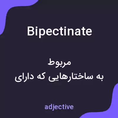 معنی bipectinate به فارسی معنی bipectinate به فارسی
