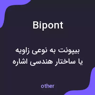 معنی bipont به فارسی معنی bipont به فارسی