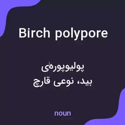 معنی birch polypore به فارسی معنی birch polypore به فارسی