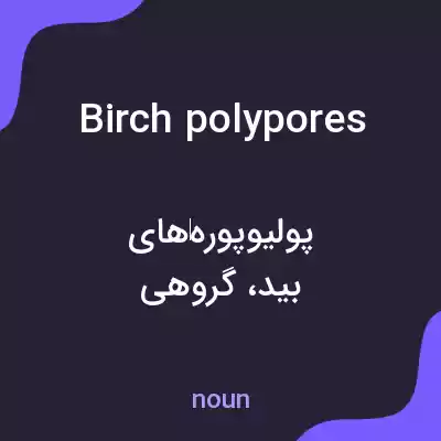 معنی birch polypores به فارسی معنی birch polypores به فارسی