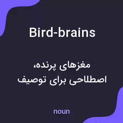 معنی bird-brains به فارسی معنی bird-brains به فارسی