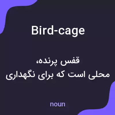 معنی bird-cage به فارسی