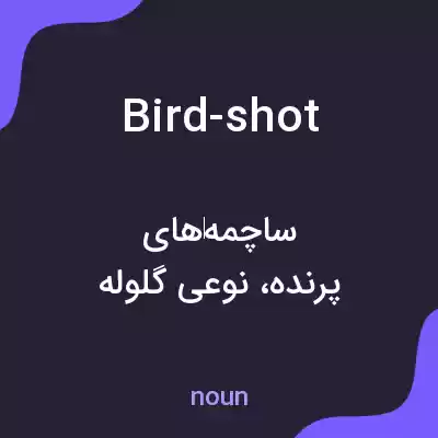 معنی bird-shot به فارسی معنی bird-shot به فارسی