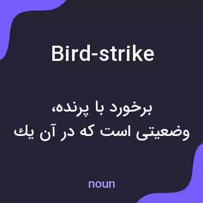 معنی bird-strike به فارسی