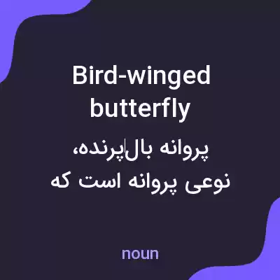 معنی bird-winged butterfly به فارسی معنی bird-winged butterfly به فارسی