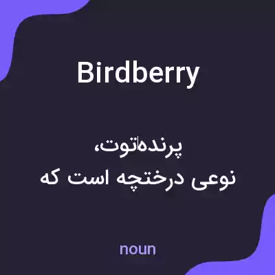 معنی birdberry به فارسی معنی birdberry به فارسی