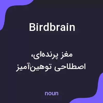 معنی birdbrain به فارسی معنی birdbrain به فارسی