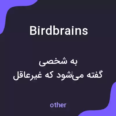 معنی birdbrains به فارسی معنی birdbrains به فارسی