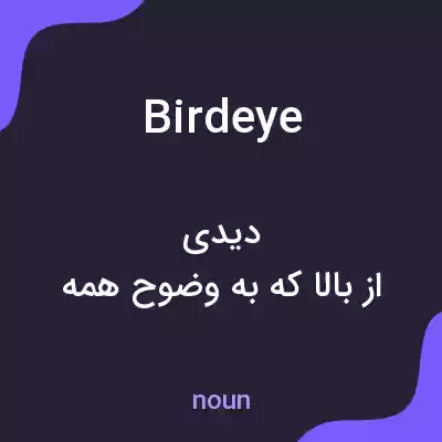 معنی birdeye به فارسی معنی birdeye به فارسی