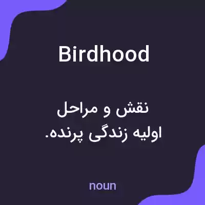 معنی birdhood به فارسی معنی birdhood به فارسی