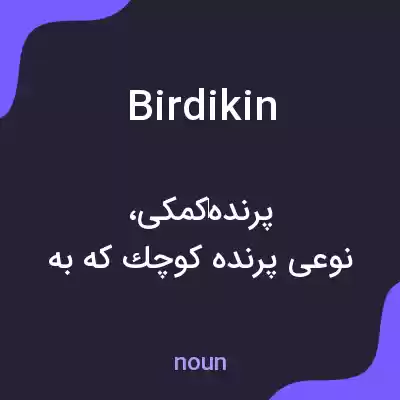 معنی birdikin به فارسی معنی birdikin به فارسی