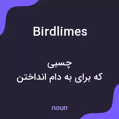معنی birdlimes به فارسی معنی birdlimes به فارسی