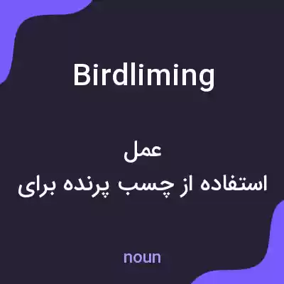 معنی birdliming به فارسی معنی birdliming به فارسی