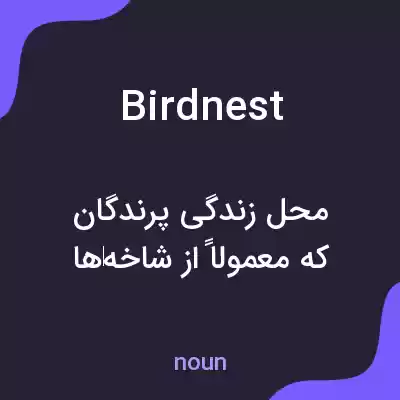 معنی birdnest به فارسی معنی birdnest به فارسی