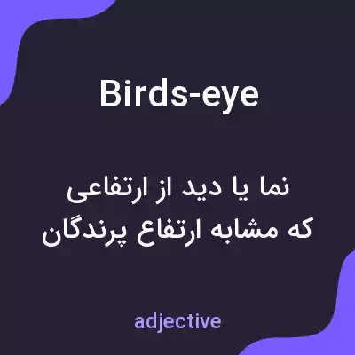معنی birds-eye به فارسی معنی birds-eye به فارسی