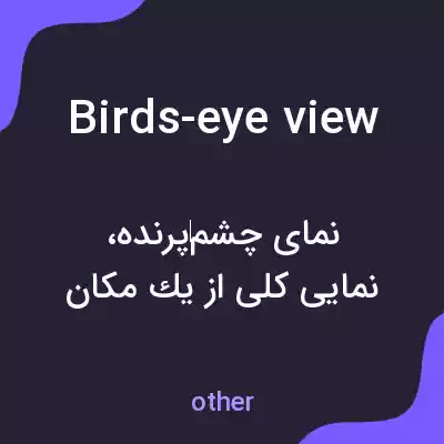 معنی birds-eye view به فارسی